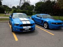 So I come out of Loblaw's in Westboro to find this parked me.
Luv it!

Blue Thunder and her cousin, Shelby!