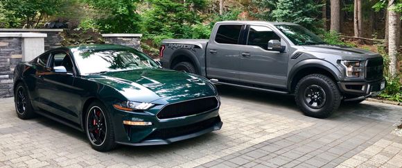 2018 Raptor
2019 Bullitt
2020 GT500 CFTP painted stripes arriving spring 2020
