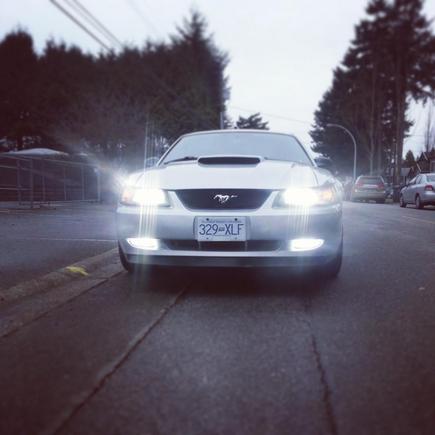 6K hids are awesome!