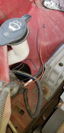 Can anyone tell me what these wires go to? Im going nuts trying to figure it out and people around here not very helpful. They are on passenger side as pic shows. Any help would be great. Tia