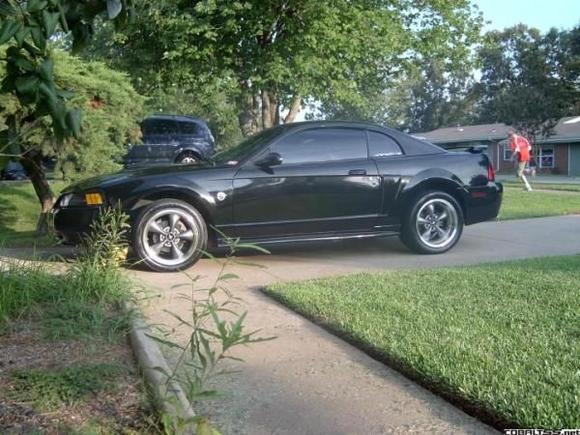 stang004