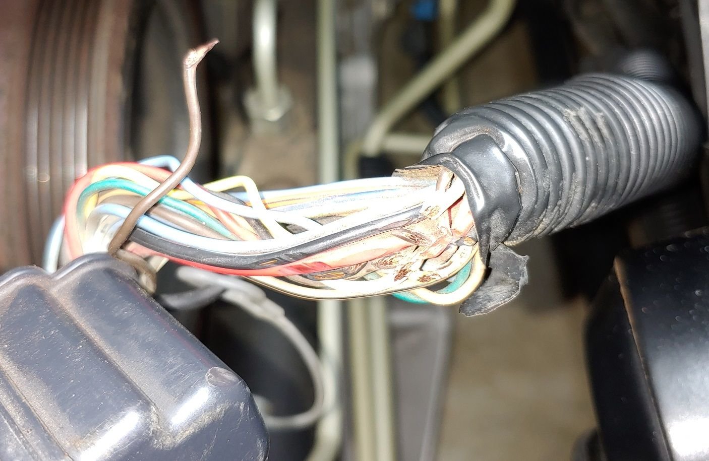 EBCM Wiring Help! - CorvetteForum - Chevrolet Corvette Forum Discussion