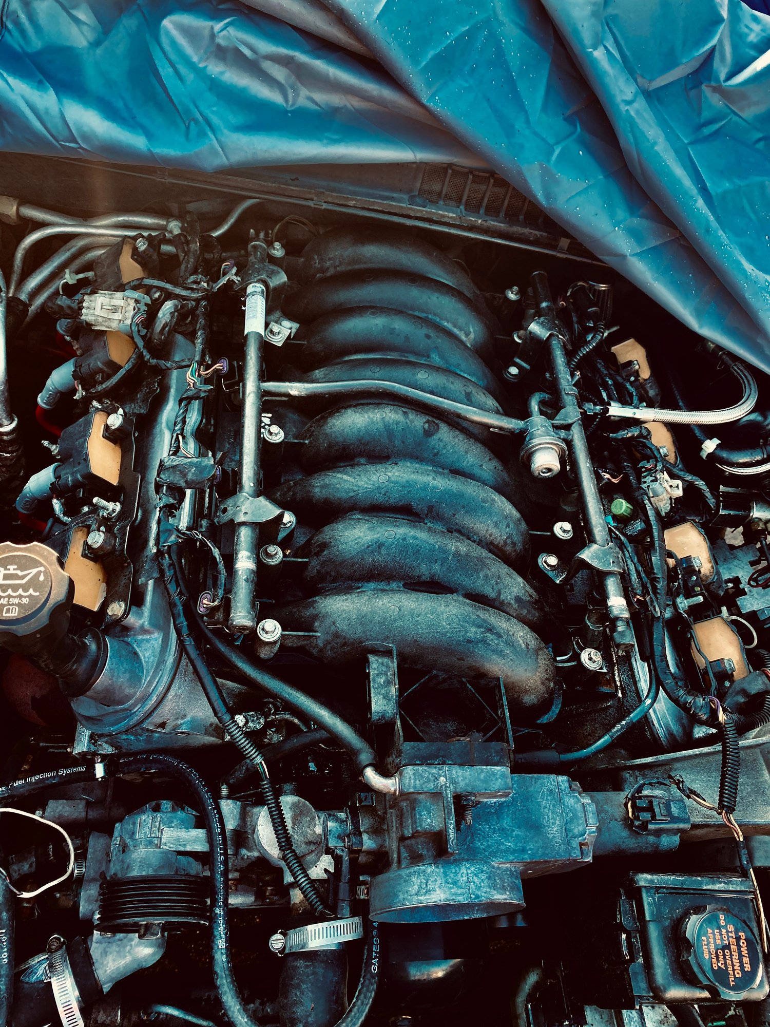 I need help finding the right AC belt and serpentine belt for my 99’ C5