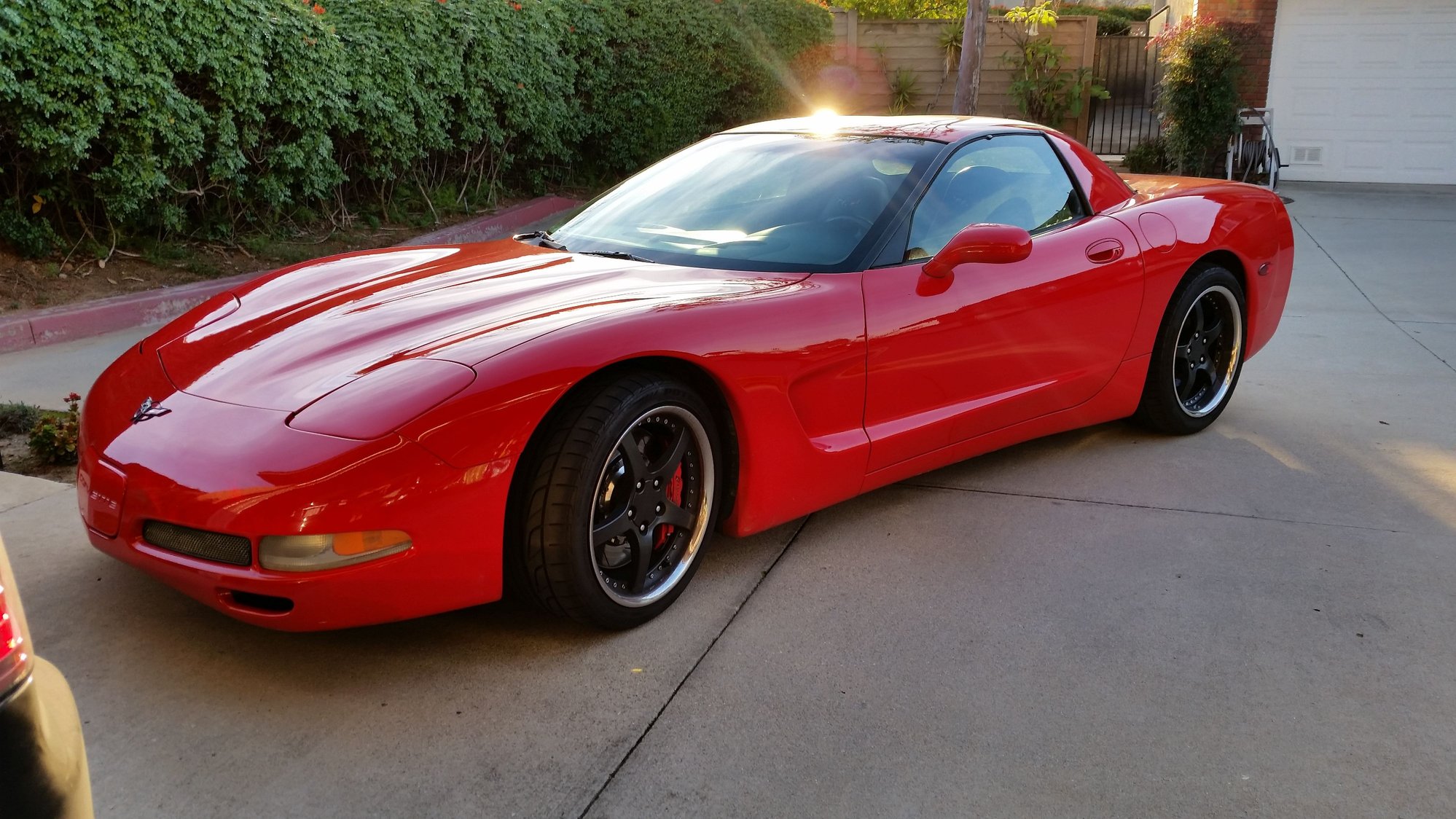 Show off your C5's stance!!!Post your pics! - Page 51 - CorvetteForum