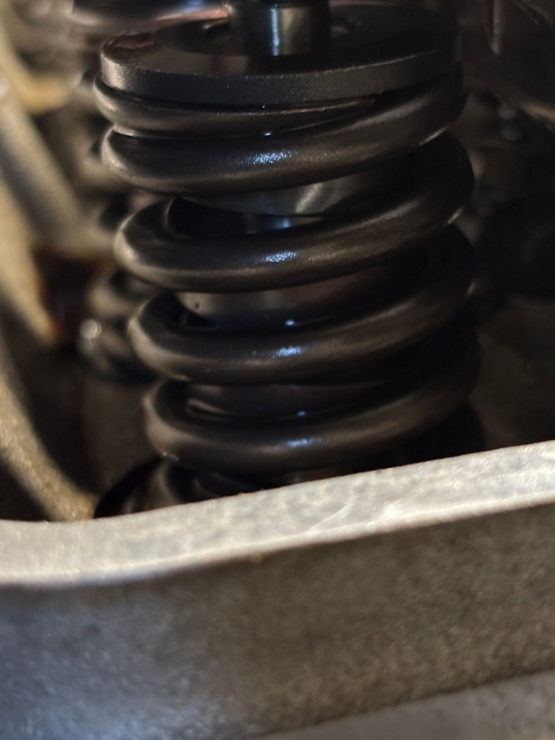 Dual springs. 