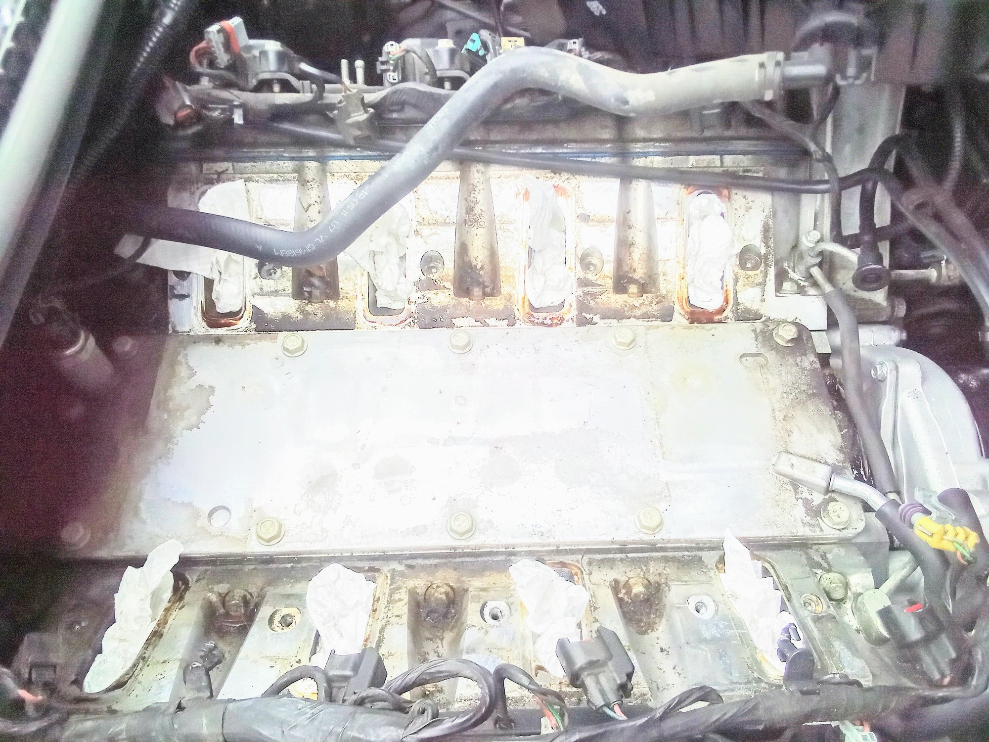 Replaced valley cover gasket, still leaks? CorvetteForum Chevrolet