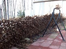 Leaf Block - page wire fence