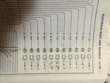 20-Gray positive Illuminate LP to each gauge bulb.