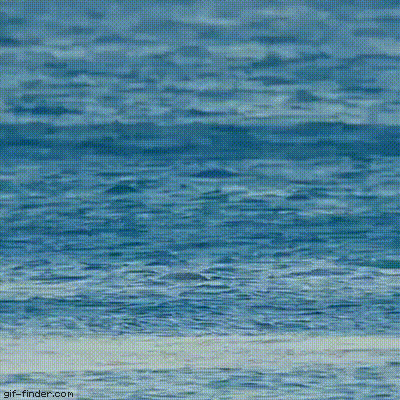 img_8109_95b557b7f1e01ebc7bf24c7cdca739d7934163e9.gif