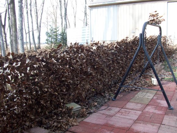 Leaf Block - page wire fence