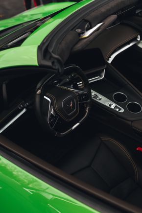 Dark atmosphere interior with natural trim