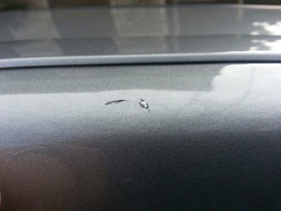 Indentations on the hood of the car Hassam Khan alleges police smashed his face into after stopping him on Dec. 26, 2013. (Courtesy of Harvey Greenberg)