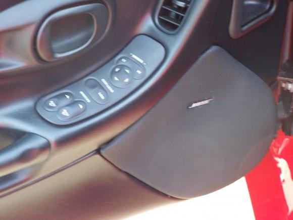 Door Panel