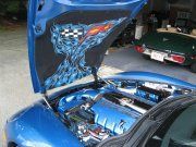 Custom liner