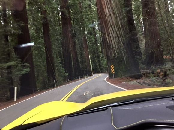 Beautiful roads up the northern part of Hwy. 101