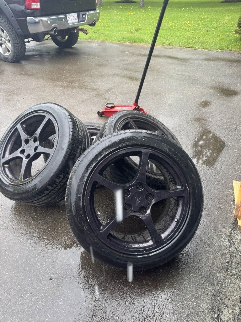 The old rims
