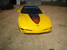 Corvette paint (13)