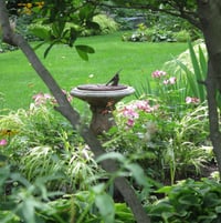 sundial, front garden