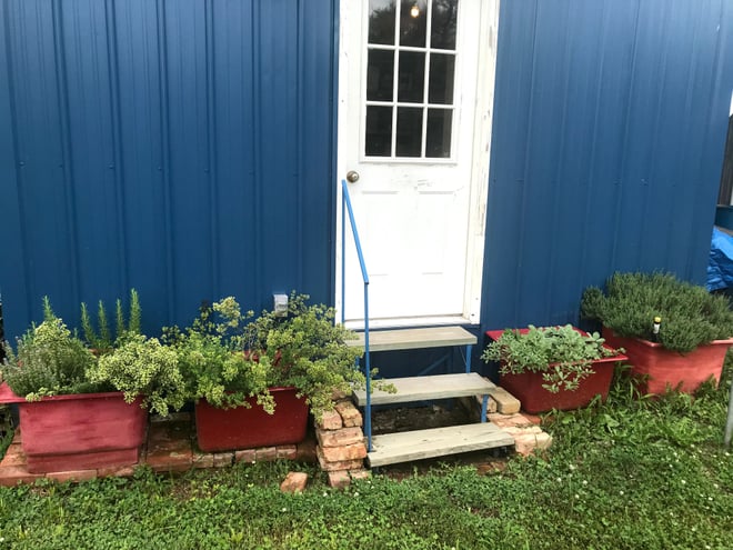 Our culinary herbs are planted in old square fiberglass sinks that we painted.
