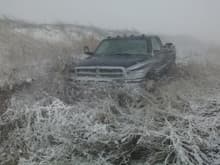 Drove into a deep ditch in the middle of a blizzard.
