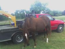 dam stick wont get outa the pic