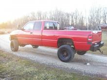 After it had a bath