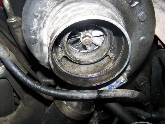 40 psi was too much I guess
