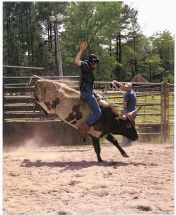 wyatt bull riding 2