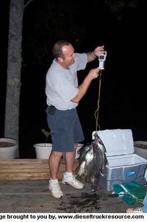 23209FISH 23245049407 0 ALB