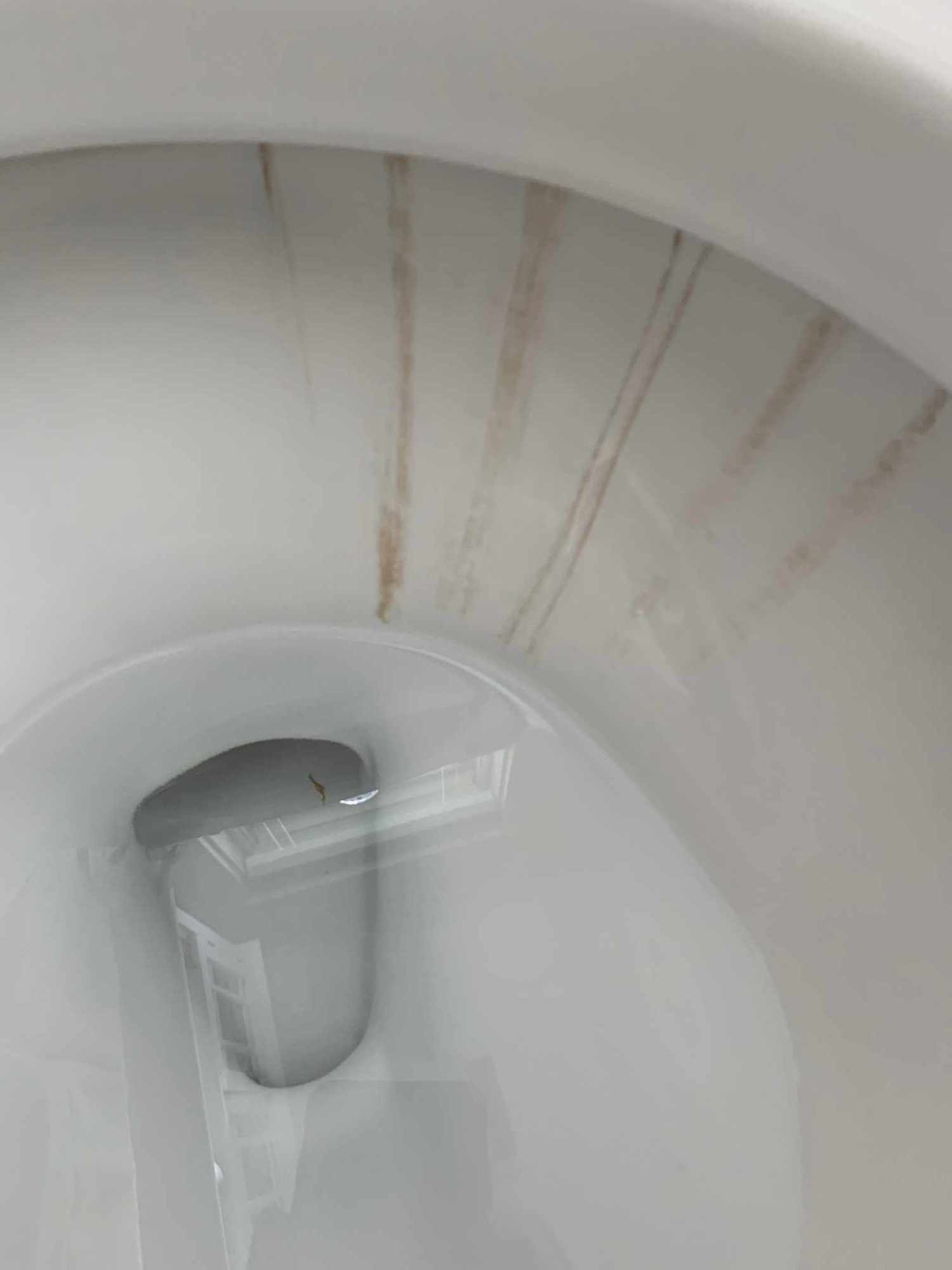 Toilet bowl stains in one and not the others?