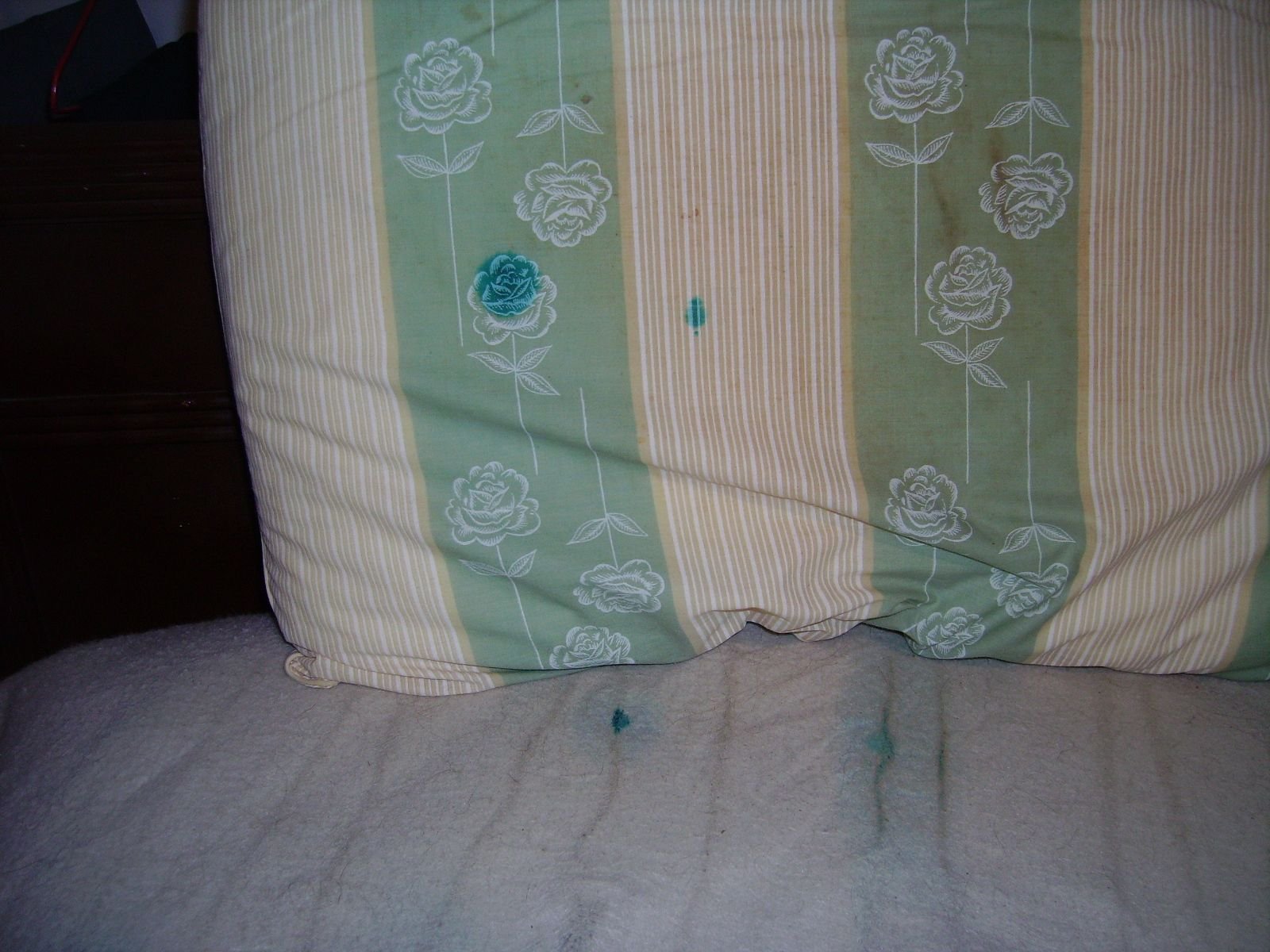 Wires in an electric blanket Community Forums