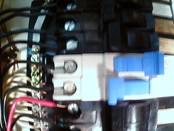 Tripped Breaker Instantly Trips the main breaker when reset. Dead