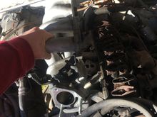 Intake looks alright, just need to get the correct throttle body and fuel rail provisions on it.