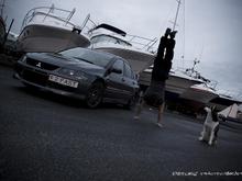 Evo [2 FAST] &amp; Me &amp; Panda