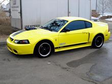 My 2003 Ford Mustang Mach 1- My first car. Twas extraordinary! May her new owner enjoy her to the fullest!!