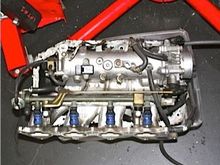 IMG 3177