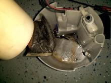 strainer 2