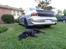 Wanting to go for a ride