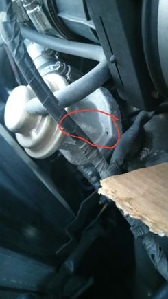 Pick a side one or other as long as it's flat. If you drill on rounded edge, it will be tougher to tap for nipple.