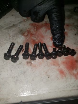 Shows the broken bolts against the good ones