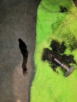 Plug after cleaned