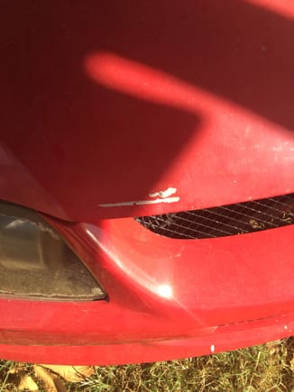 Damage to the hood