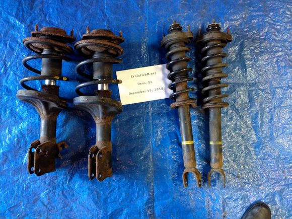 OE Struts