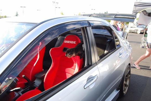 Darwin in the 1st Place Mitsu &amp; Viewer's Choice Winner idrink_v8