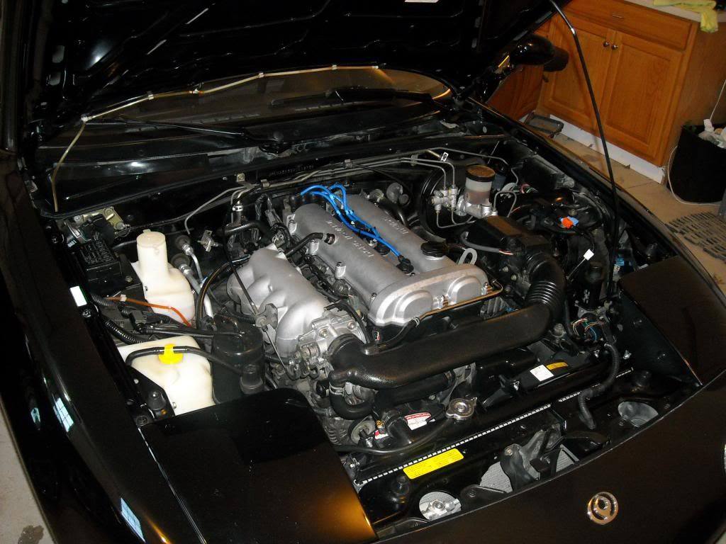 Cleaning the Engine Bay Any Advice? Ford F150 Forum Community of
