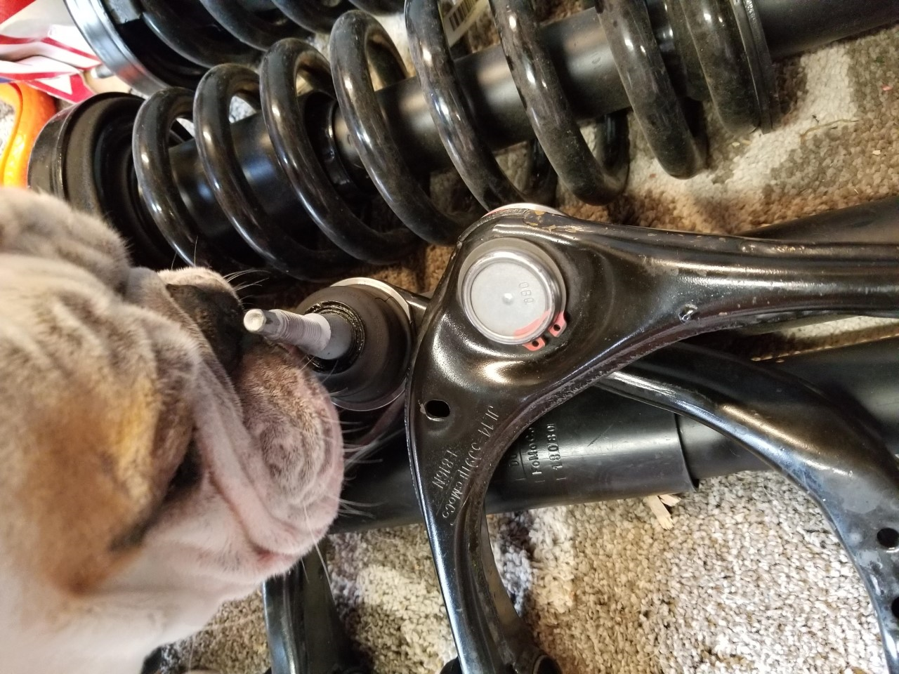 2015 F150 Upper Ball Joint Boot Ripped Ford F150 Forum Community of