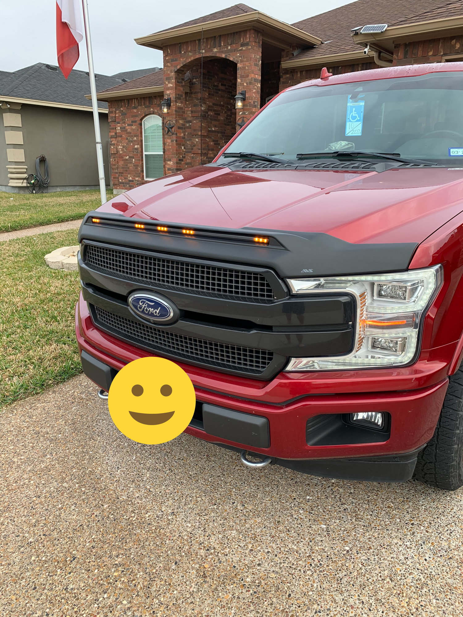 2007 ford f150 bug deflector