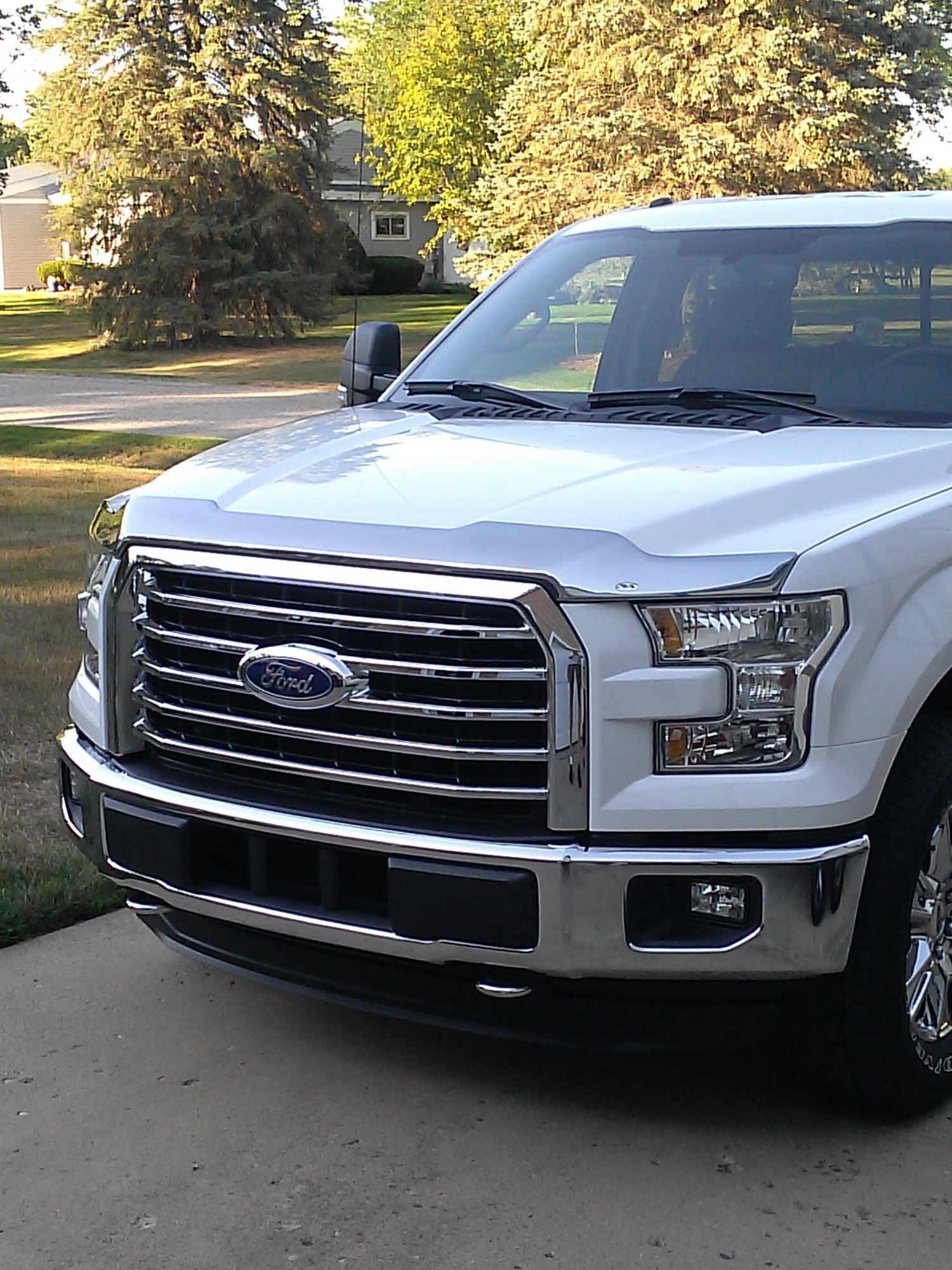 Bug/stone guard - Ford F150 Forum - Community of Ford ...