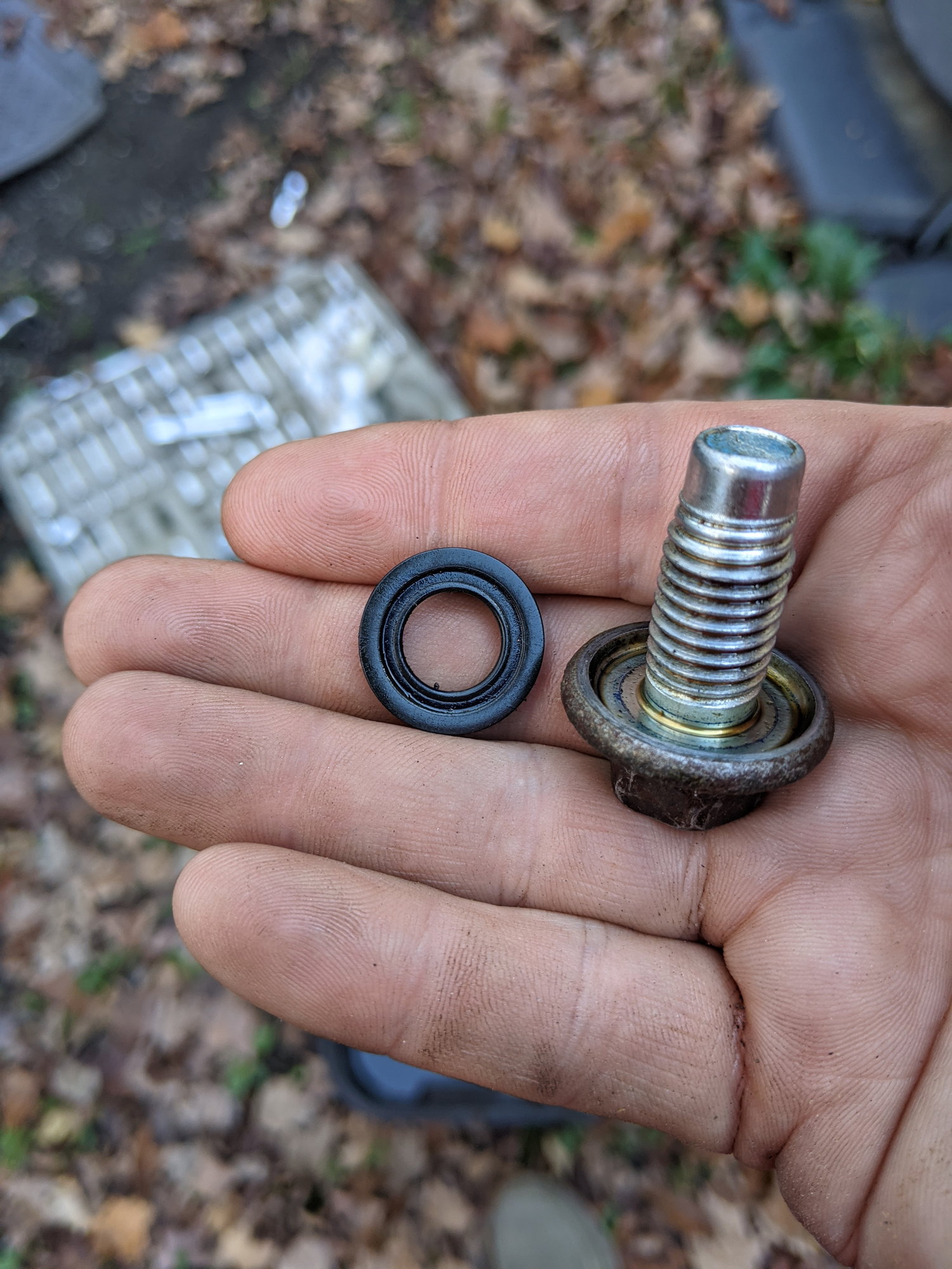 2015 3.5 ecoboost, am I missing a drain plug gasket? - Ford F150 Forum