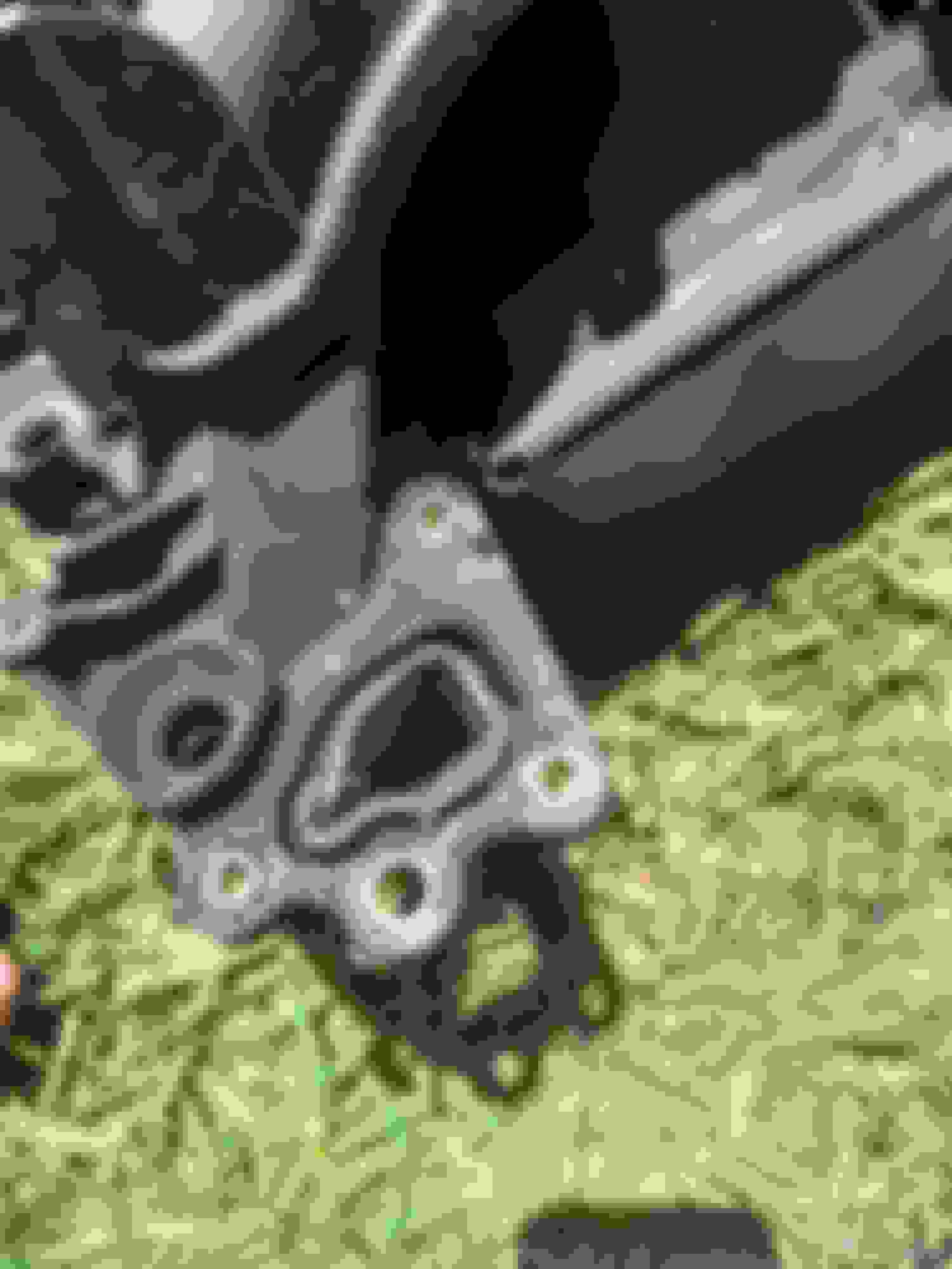 5.4 intake plastic vs. aluminum Ford F150 Forum Community of Ford